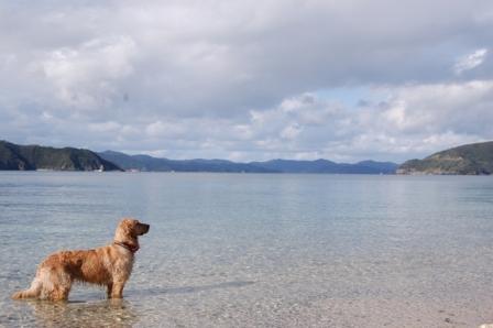 きれいな海でいっぱい遊びました。