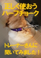 �ϡ��ե��硼�����顼������������ˡ������ˡ