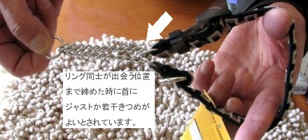 ハーフチョークカラーのサイズ選び