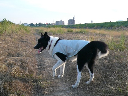 kaj�����