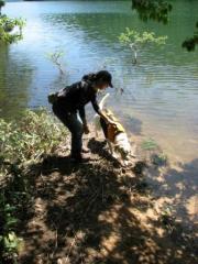 K-9 �ե����ȥ����Ȥ�Ĥ��Ʊˤ��Ǥ�餤�ޤ�����