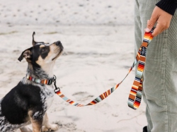 Leeds Dog Supply リード