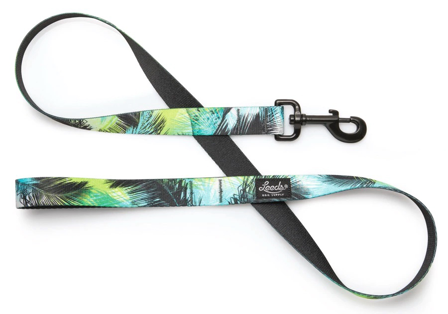 Leeds Dog Supply カラー+リードセット S