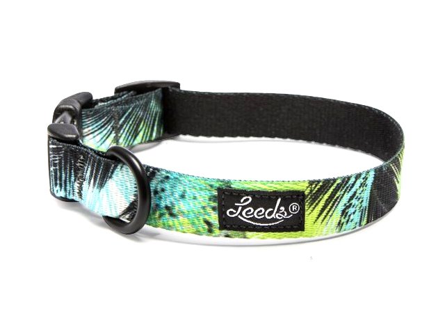 Leeds Dog Supply カラー+リードセット S