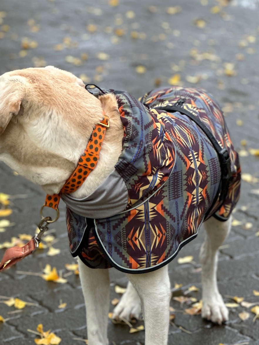 ペンドルトン　ウォータープルーフ　アドベンチャーコート