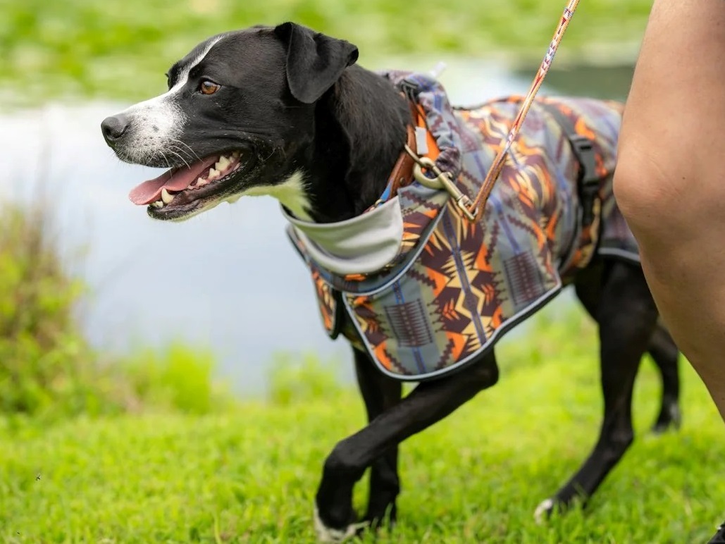 ペンドルトン　ウォータープルーフ　アドベンチャーコート