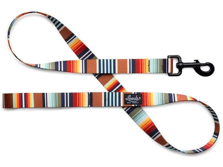 Leeds Dog Supply リード