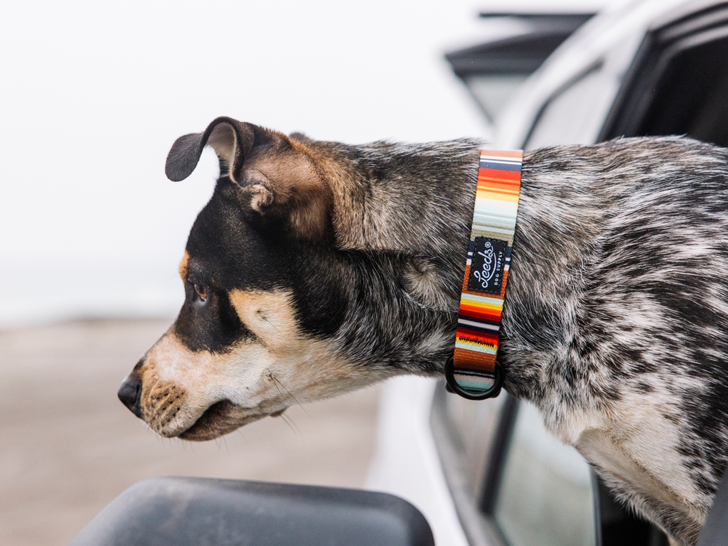 Leeds Dog Supply カラー