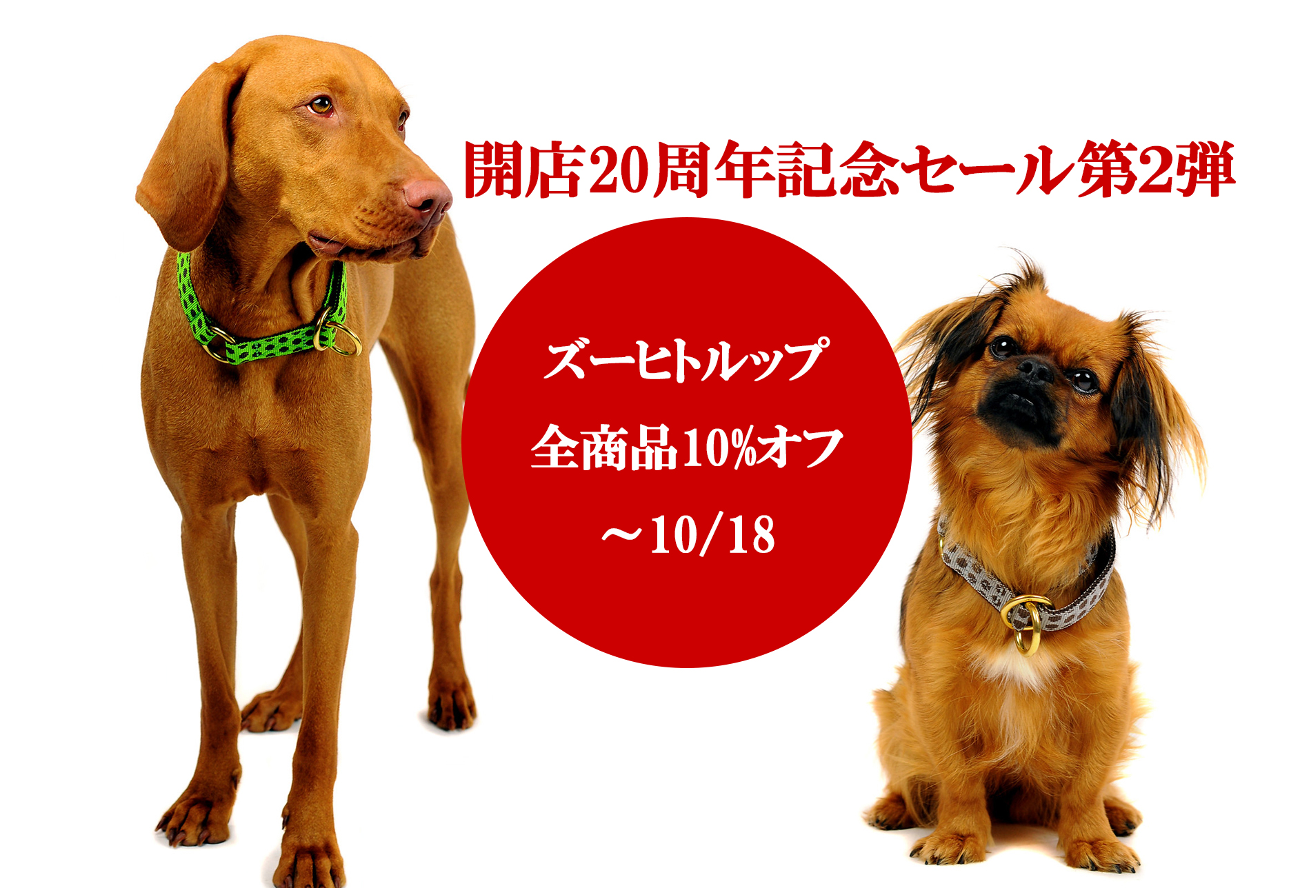 バッドテール