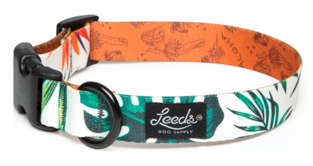 STELLA 大型犬用 Leeds Dog Supply STELLA 大型犬用 Leeds Dog Supply Leashes – Leeds Dog Supply
