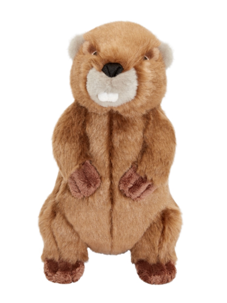 Fluff & Tuff　ビーバーのトロイ