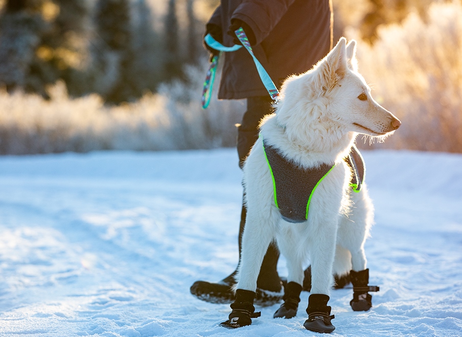 RCペット　ツンドラ・フリース