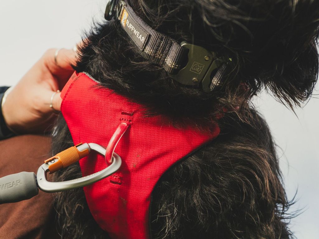 ラフウェア ウェブマスターハーネス